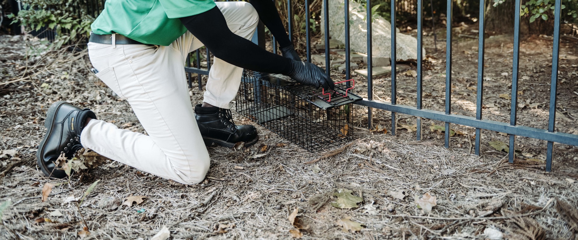 Effective Pest and Disease Management Strategies for Farmers in Waxhaw, North Carolina