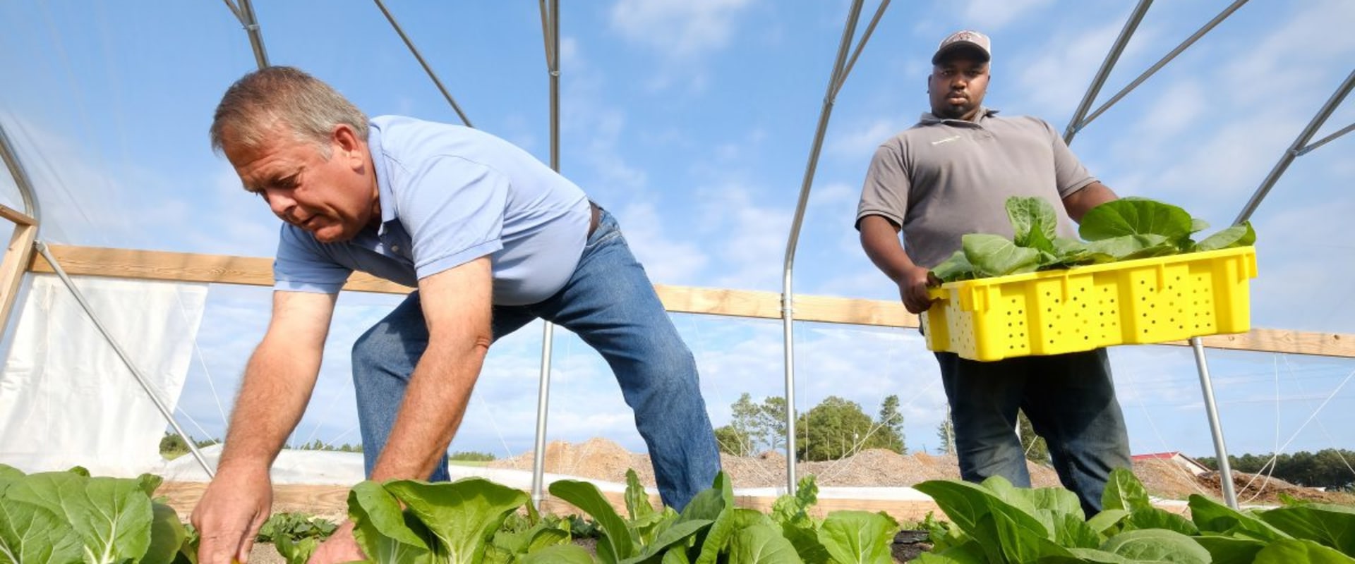 The Vital Role of Farmers in Waxhaw, North Carolina's Local Economy
