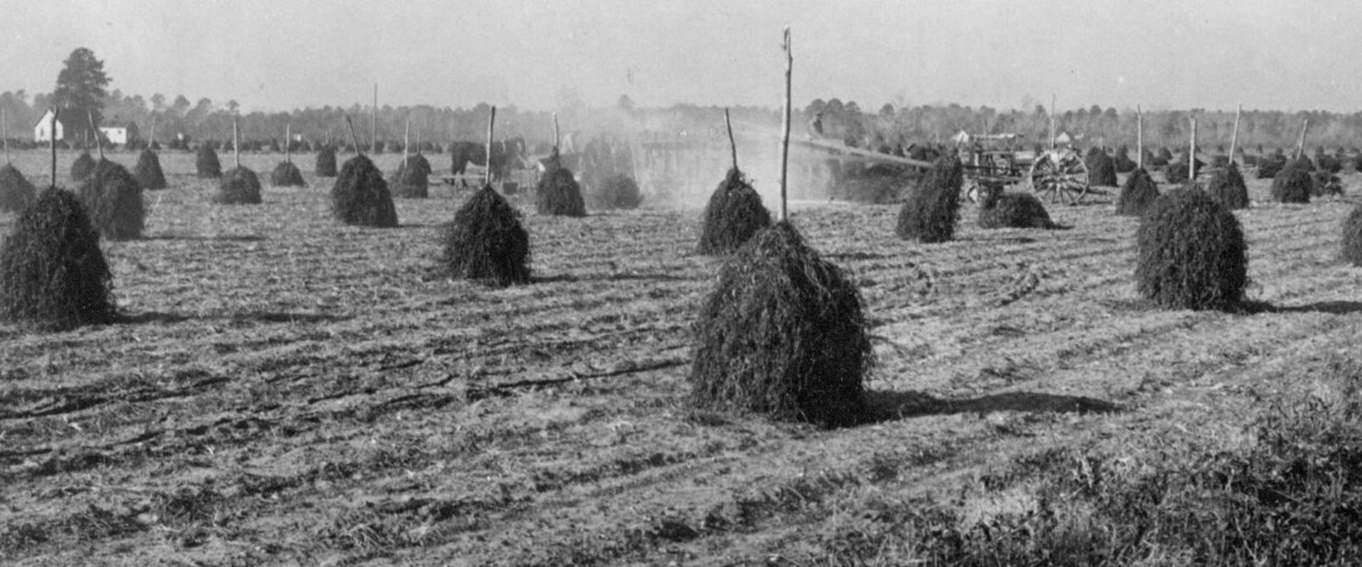 The Evolution of Farming in Waxhaw, North Carolina: A Historical Perspective