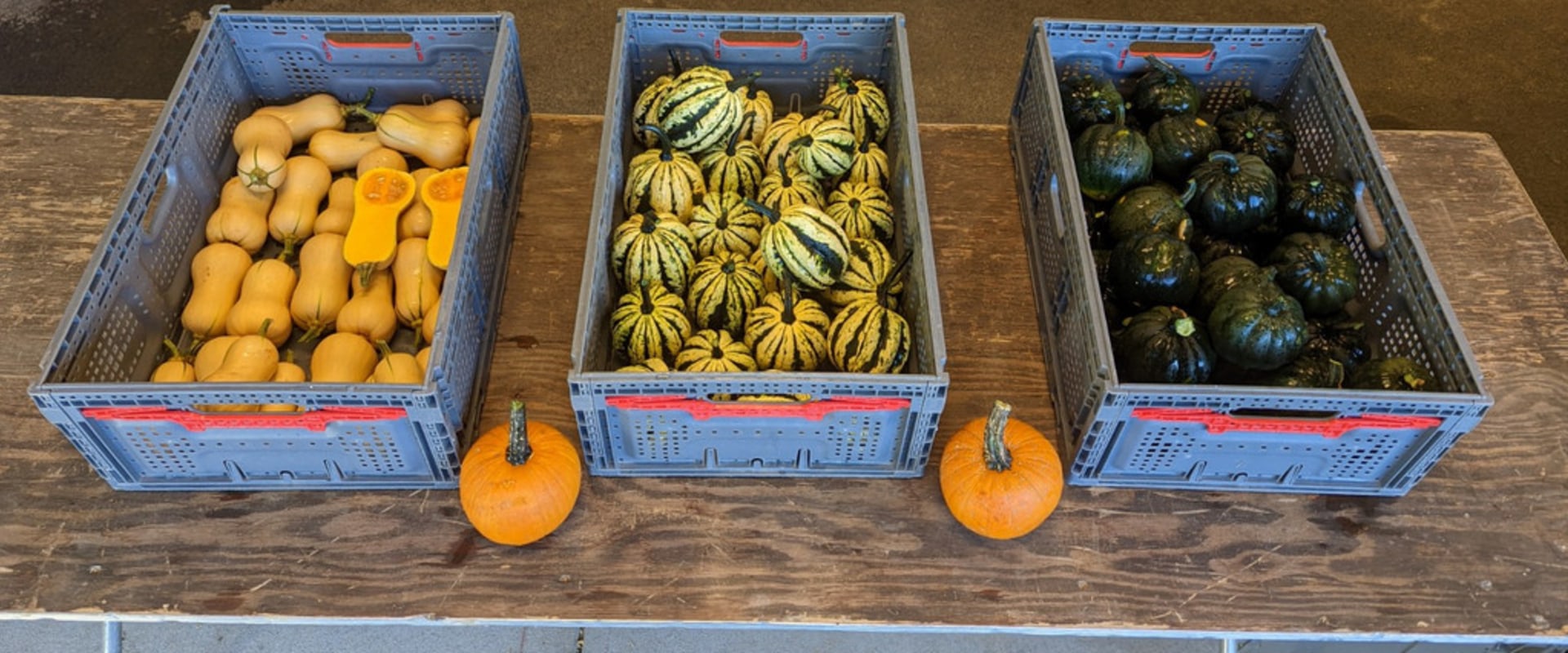 Sustainable Agriculture Practices by Farmers in Waxhaw, North Carolina