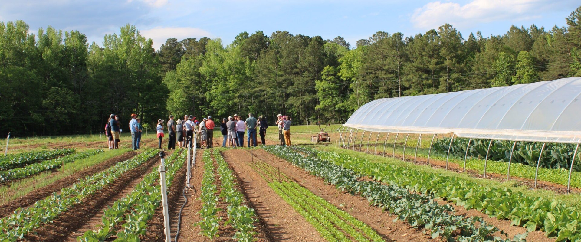 Exploring Organic Farms and Farmers in Waxhaw, North Carolina