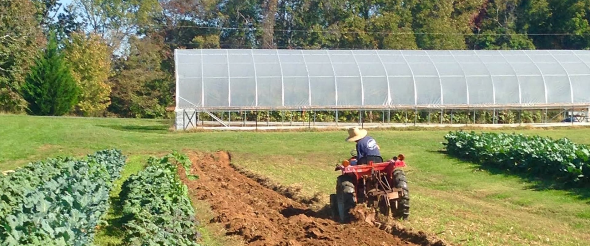 Exploring Community-Supported Agriculture Programs in Waxhaw, North Carolina: A Guide to Local Farmers