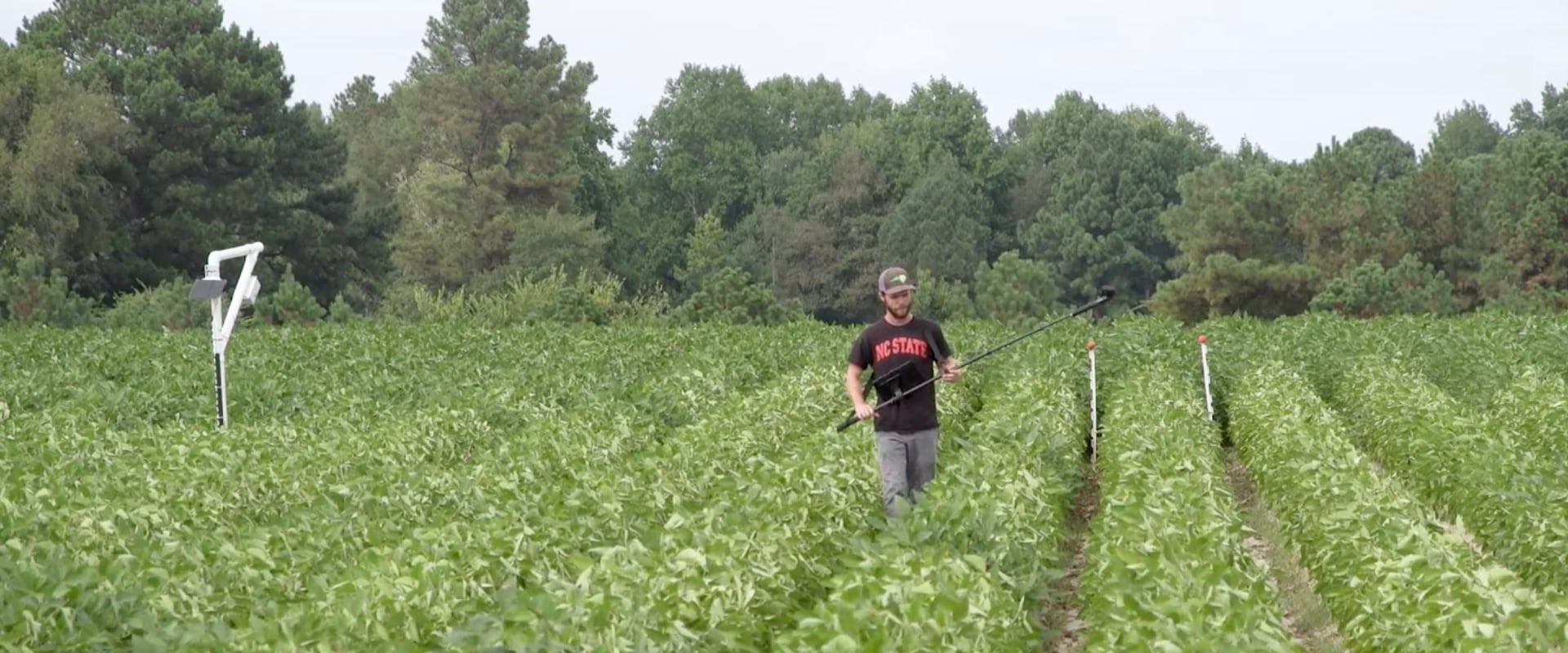 The Impact of Farmers in Waxhaw, North Carolina on the Local Community