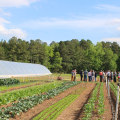 Exploring Organic Farms and Farmers in Waxhaw, North Carolina