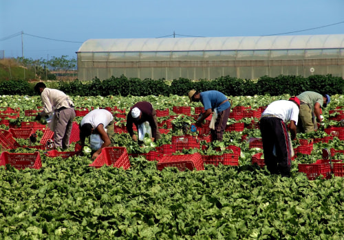 Addressing Labor Shortages: Strategies Used by Farmers in Waxhaw, North Carolina