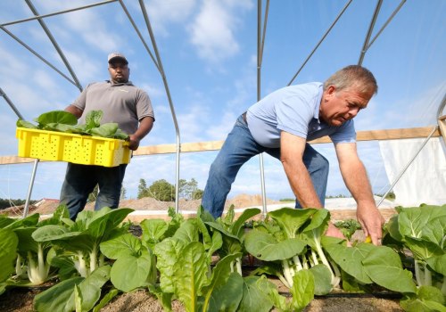 The Vital Role of Farmers in Waxhaw, North Carolina's Local Economy