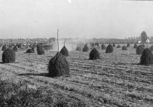 The Evolution of Farming in Waxhaw, North Carolina: A Historical Perspective