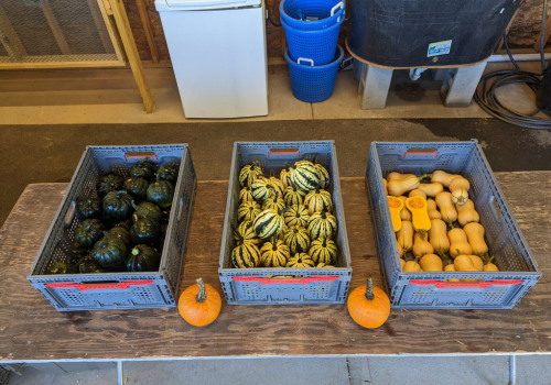Sustainable Agriculture Practices by Farmers in Waxhaw, North Carolina