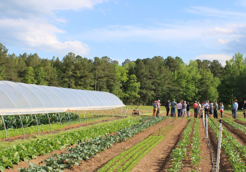 Exploring Organic Farms and Farmers in Waxhaw, North Carolina
