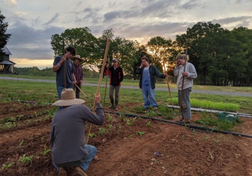 Effective Marketing Strategies for Farmers in Waxhaw, North Carolina