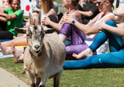 Exploring Agritourism Opportunities for Farmers in Waxhaw, North Carolina