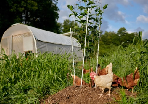 The Rewards of Farming in Waxhaw, North Carolina: A Deep Dive into Local Agriculture