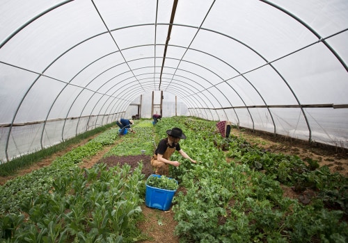 Exploring Cooperatives and Farmers Markets in Waxhaw, North Carolina: A Guide to Local Agriculture