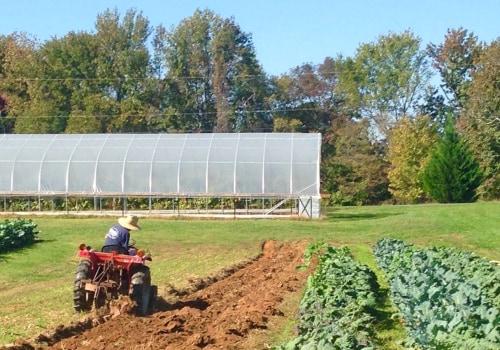 Exploring Community-Supported Agriculture Programs in Waxhaw, North Carolina: A Guide to Local Farmers