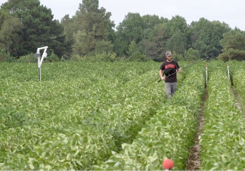 The Impact of Farmers in Waxhaw, North Carolina on the Local Community