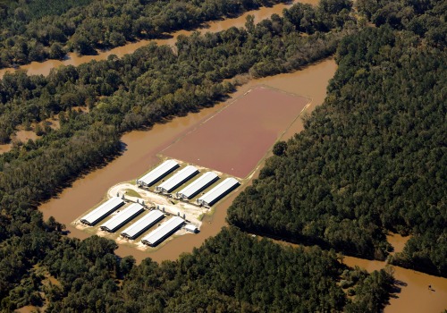 The Environmental Impact of Farming in Waxhaw, North Carolina: A Comprehensive Analysis