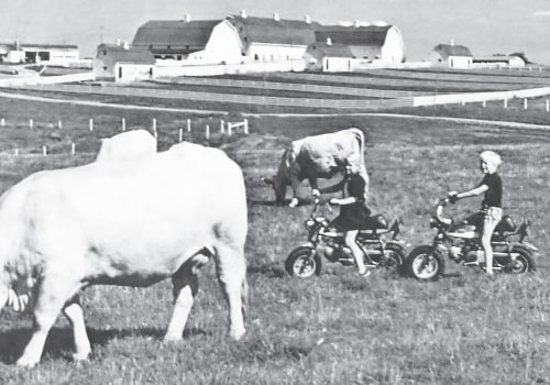 Exploring Common Livestock Raised by Farmers in Waxhaw, North Carolina