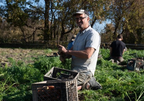 Challenges Faced by Small-Scale Farmers in Waxhaw, North Carolina
